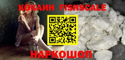 a pvp Камышлов