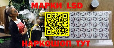 a pvp Камышлов