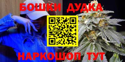 a pvp Камышлов