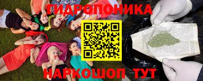 a pvp Камышлов